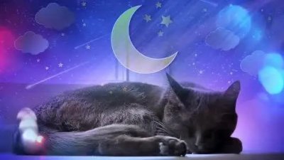 长春失眠症治疗医院