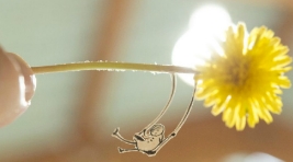 ����ʧ��֢����ҽԺ