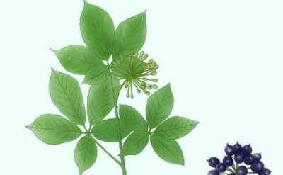 长春失眠症治疗医院